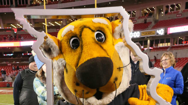 Missouri Tigers mascot poses with the Battle Line trophy after the game against the Arkansas Razorbacks at Donald W. Reynolds Razorback Stadium. Missouri won 48-14.